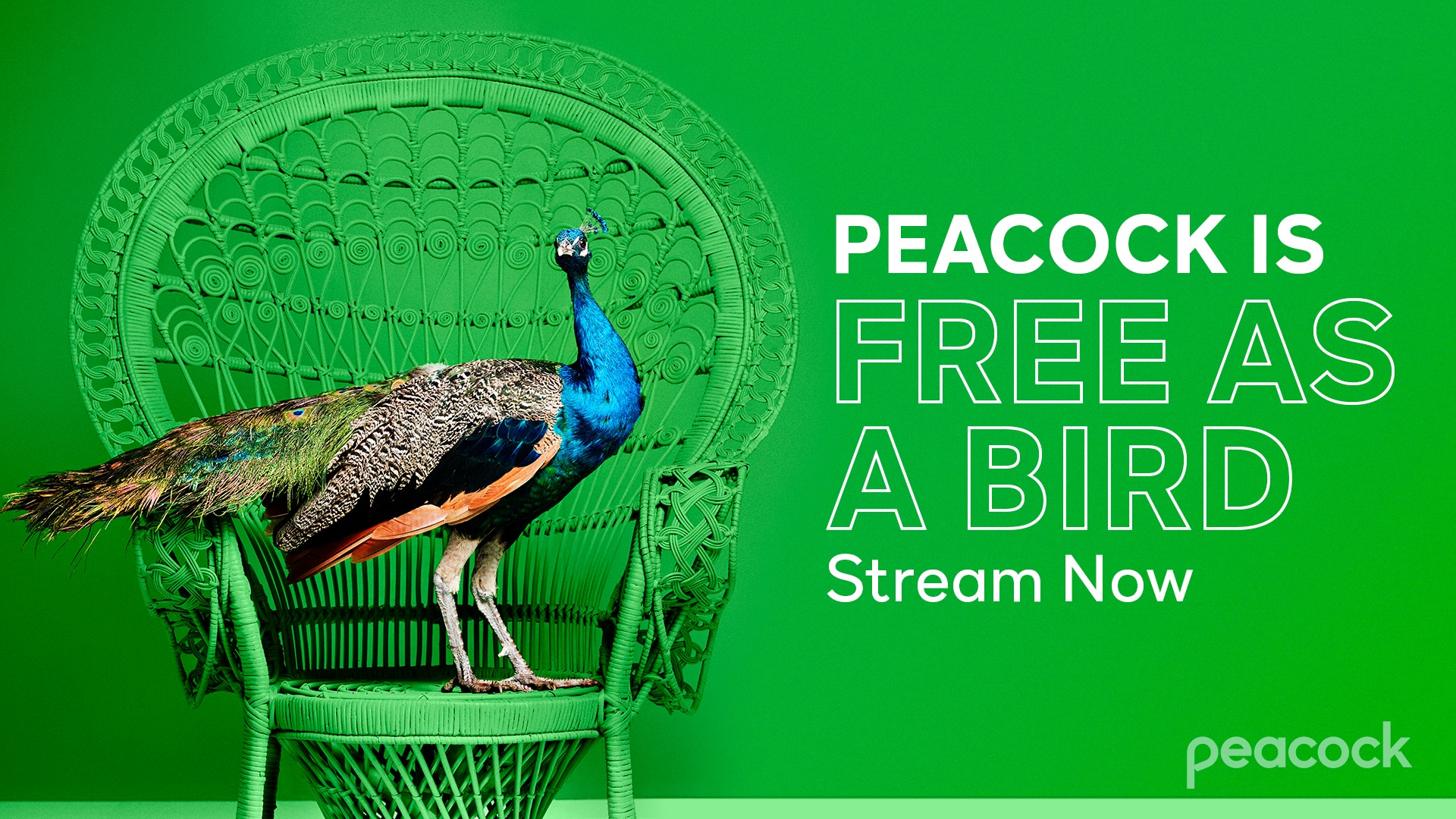 How to Watch Peacock TV in Australia [2022 Easy Guide]
