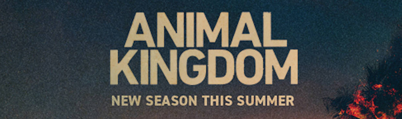 animal kingdom season 6 where to watch